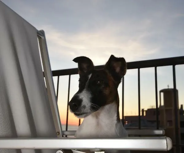 Vista Mare Da Mary *