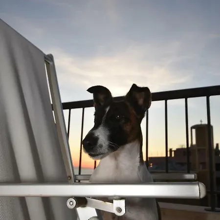 Vista Mare Da Mary *