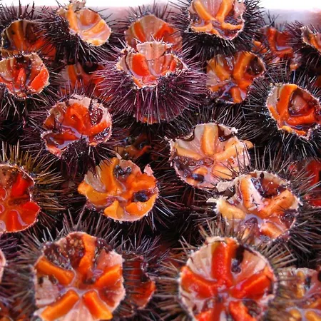 Vista Mare Da Mary Apartment