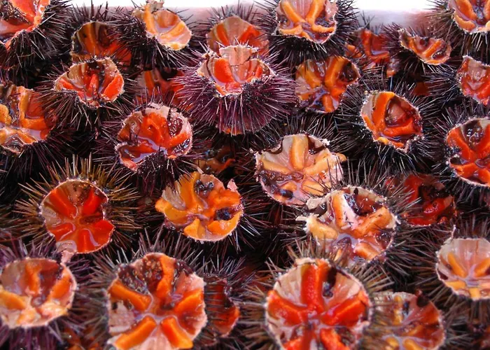 Vista Mare Da Mary Appartamento